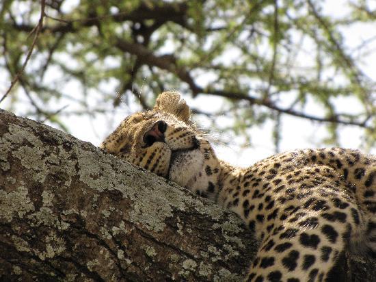 Amanda Magadan Travels The World For Field Hockey And&nbsp;Education